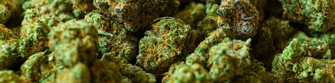 Kriminálka rozbila drogový biznis: Dvojici hrozí až 15 rokov za mrežami